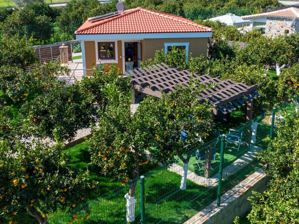 Desa Green Homes エピダウロス エクステリア 写真