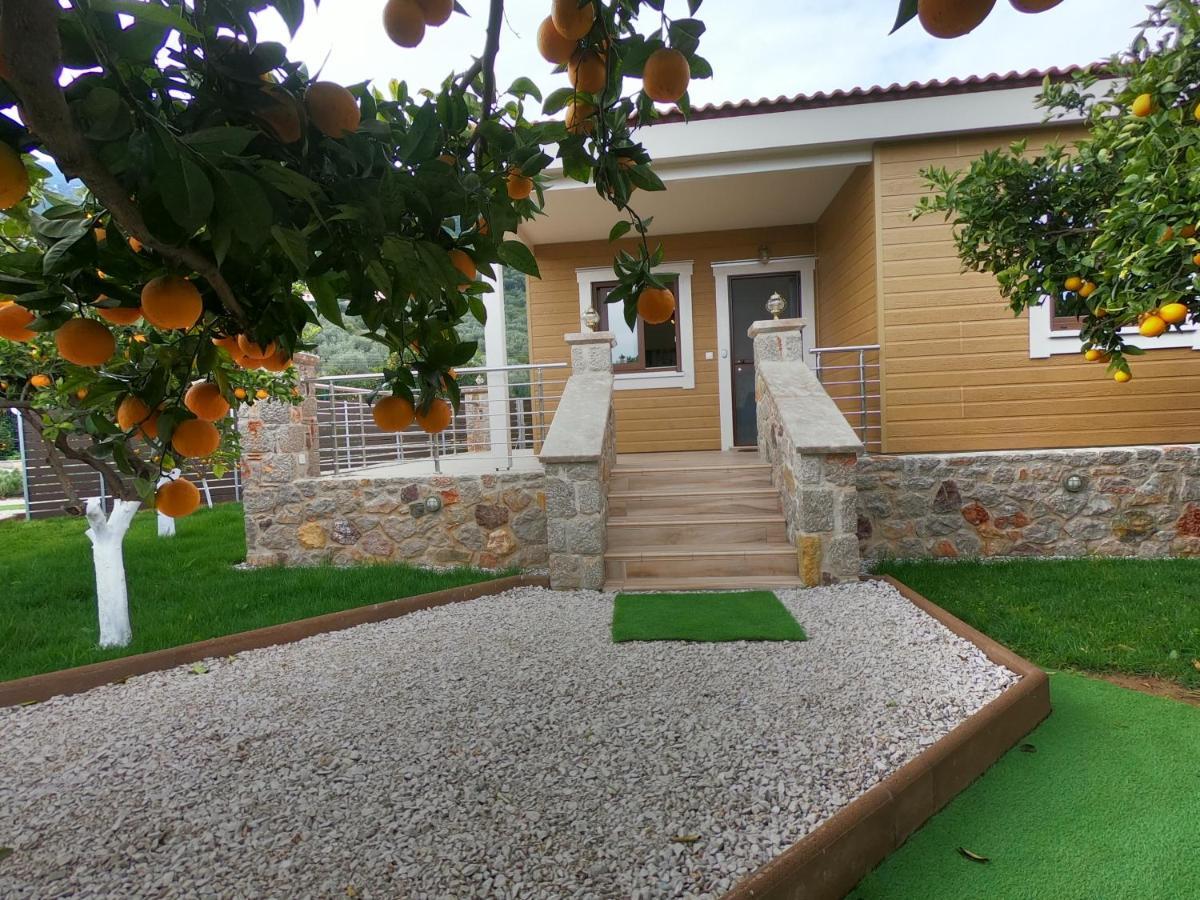Desa Green Homes エピダウロス エクステリア 写真